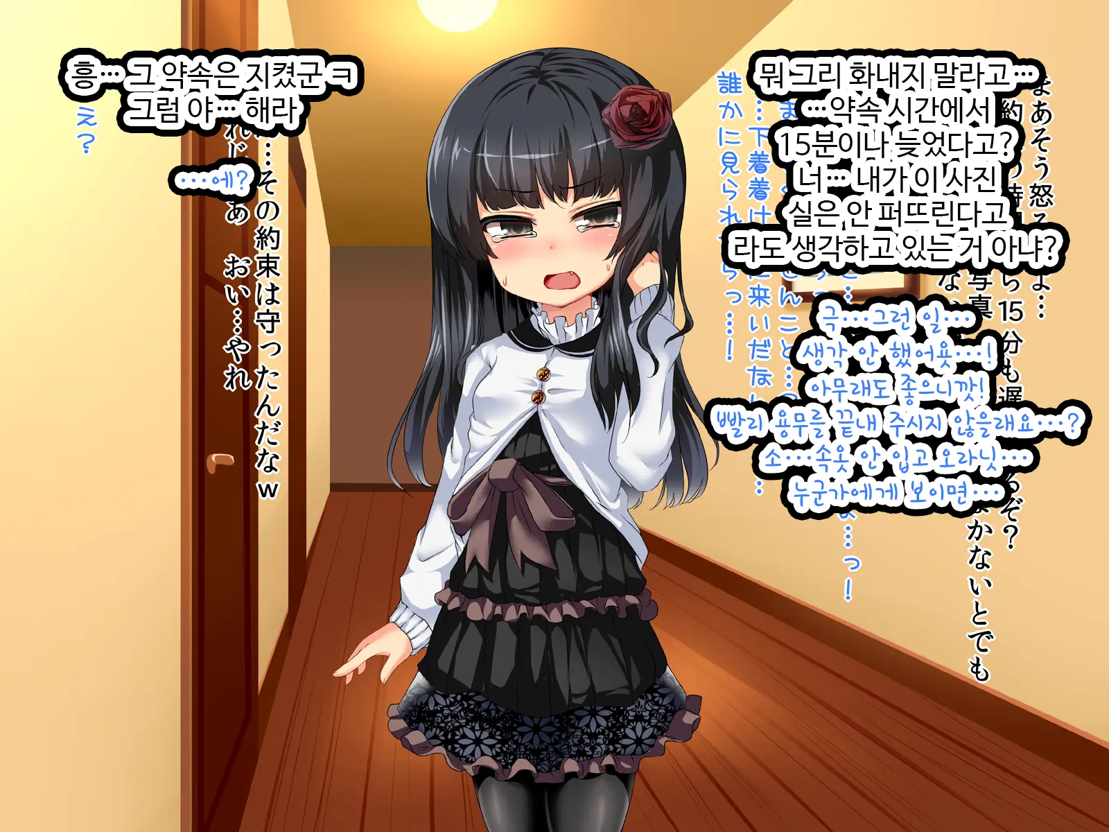 Imouto Shoujo Kan ~Ani Wo Mikudasu Futodoki J○ Imouto Wo Haramase Choukyou!~